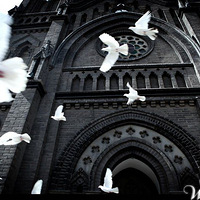 ������ֱ��������VS����Ƶ꣬����+�ݻ��Ļ���+�����������Ŷ�