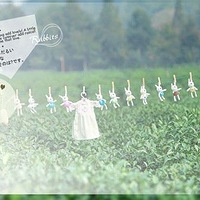 ���õĲ���û�ɴ��