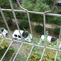 ���ȡ������������İ�ɫ��è�鳵��