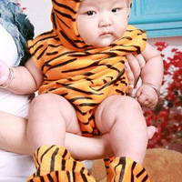 ��2011̨����������������������