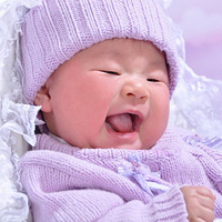 2011̨������