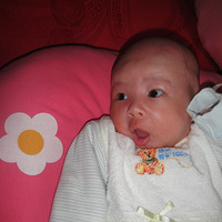 ��ǿ���������Ҽҵ�Сһһ