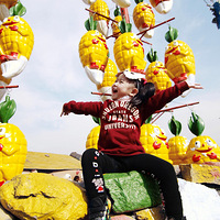 2011��̨������