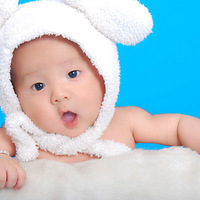 ��ǿ��������������С����