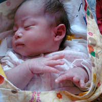 ��ǿ��������ʫ�걦��������