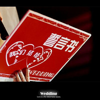 ��������PP����