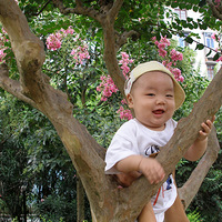 ��ǿ�����������пɰ�����