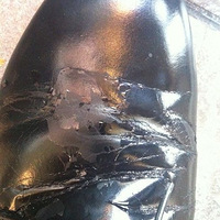 �賿�Ŷ�����������LANVIN for H&amp;MƤЬ,������ͻ�����!!