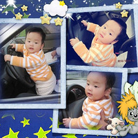 ��2011̨������������͵͵������