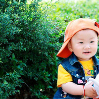 ��2011̨��������2011-0033A������С˧��---�����