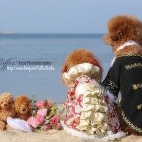 ��12.19��������ϲ���Ļ�ɴ��-�����ɴ��