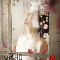 ��12.19����Ψ���ĺ�����ɴ��