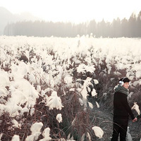 ��12.19����+��Щ������˲��