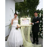 ��12.20�����ݻ��Ļ������