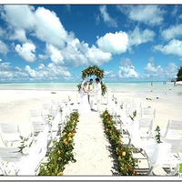 ��12.20���񡿺�̲����