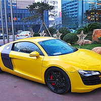 ̨R8ʪˡ