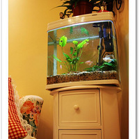 2.5Wװ90ƽ��С�ѣ������µ�װ�޽���