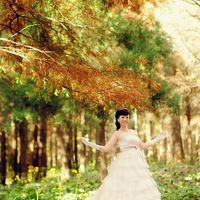 �����׻�ɴ��������