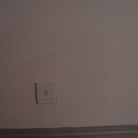 �����Ĳ�Ǩ��������