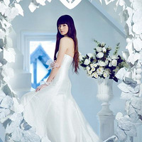 �����İ������