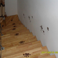 �Ұ��������.��Ϫ��