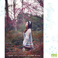 �����������������