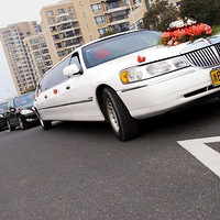 �����Ļ����Ƭ,N����������!!!