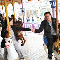 ��P754����PP���ƪ���װ��ģ��ҳ�ɱ������������---ܲ������