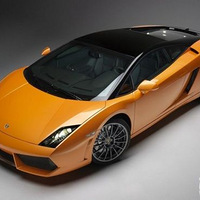 ¿Gallardo49