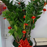 װ����ɣ����ҵ�ա�����