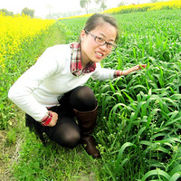 ����- ��������