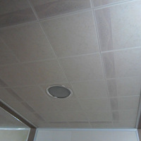 ƴ������