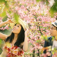 �����Ż�ɴȥ���Ρ����ⰻȻ������