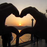 �����Ż�ɴȥ���Ρ�**����+�ݵ�+�Ϸ�+����+����+...**