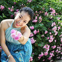 ������Ů�ɡ�S�ŵ�YOYO��