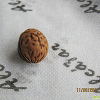 �̴��������