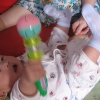 �����������Ƭ