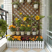 ��̨��Ժ��(��)