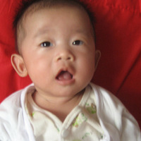 ӭ61������������Ƭ