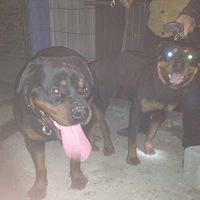 ɵ¹ھɹ2013긣طչھֹ~