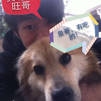 л԰ȮΪ´ԣ~\(RQ)/~