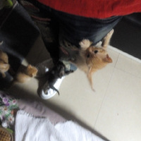 èһѵȴˣûʲôҪ󣬱