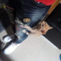 èһѵȴˣûʲôҪ󣬱