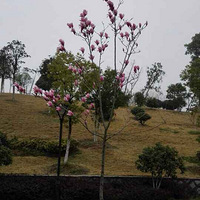 Ҽҡˣڴˣٰʲôط19¥