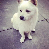 Ѱһֻɫ ϵëеƵ ϣܺϵ лл