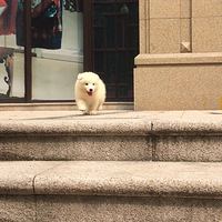 ���ȵ���Ħ  *=*