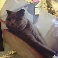 ������è�ֹ����֣�������