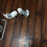 ����   ����