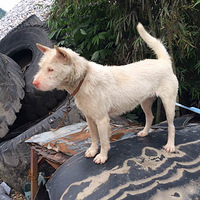 ĸ��˾�����֣��ٰ�������ϵ������˾�����