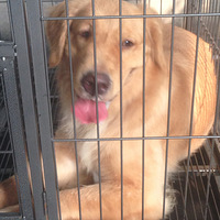 �ҵ�Ѫͳ��ë���ڷ����ˣ�Ҫ�����迩���Ժ�